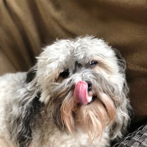 Meet your Posher, Margaret